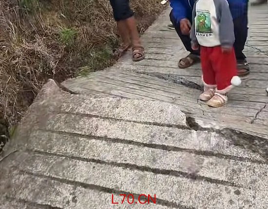 路面被眼镜蛇拱裂？村干部辟谣 无毒蛇出没引发误会