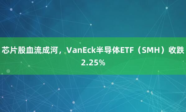 芯片股血流成河，VanEck半导体ETF（SMH）收跌2.25%