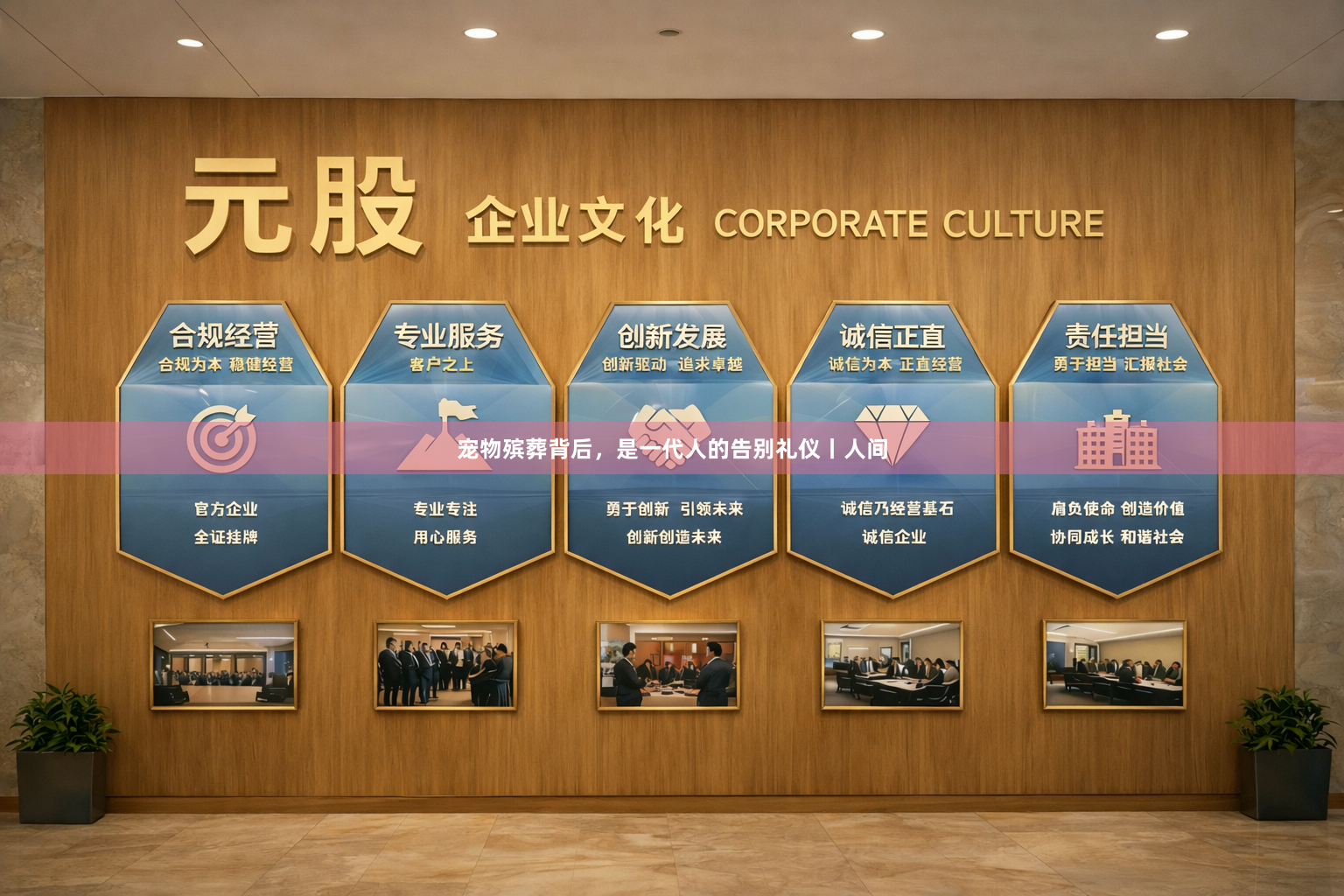 宠物殡葬背后，是一代人的告别礼仪丨人间