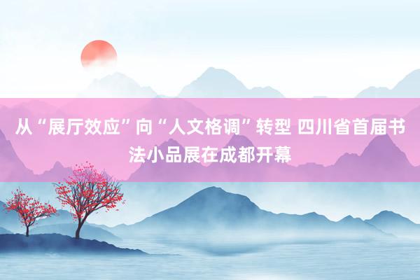 从“展厅效应”向“人文格调”转型 四川省首届书法小品展在成都开幕