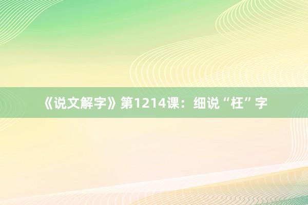《说文解字》第1214课：细说“枉”字