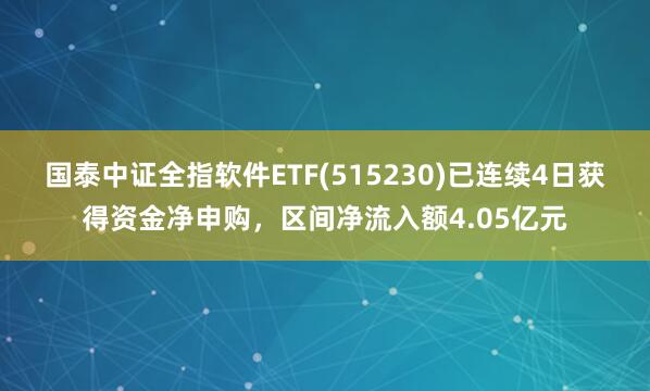 国泰中证全指软件ETF(515230)已连续4日获得资金净申购,区间净流入额4.05亿元