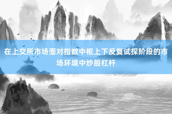 在上交所市场面对指数中枢上下反复试探阶段的市场环境中炒股杠杆