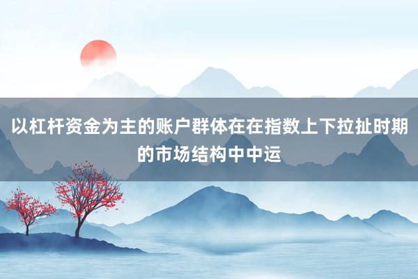 以杠杆资金为主的账户群体在在指数上下拉扯时期的市场结构中中运