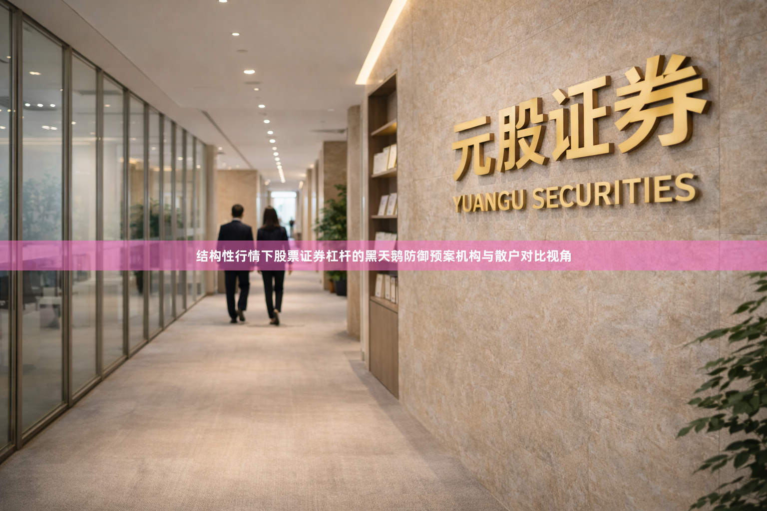 结构性行情下股票证券杠杆的黑天鹅防御预案机构与散户对比视角