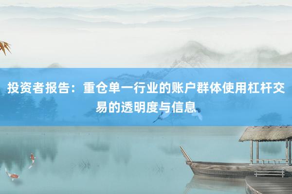 投资者报告:重仓单一行业的账户群体使用杠杆交易的透明度与信息