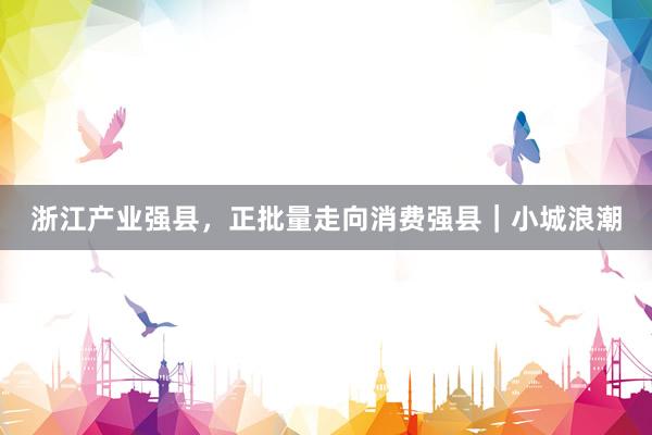浙江产业强县，正批量走向消费强县｜小城浪潮