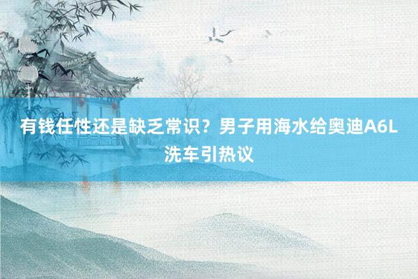 有钱任性还是缺乏常识？男子用海水给奥迪A6L洗车引热议