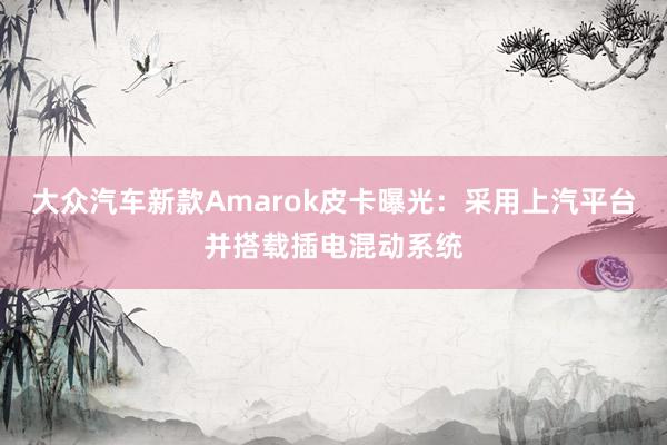 大众汽车新款Amarok皮卡曝光：采用上汽平台并搭载插电混动系统