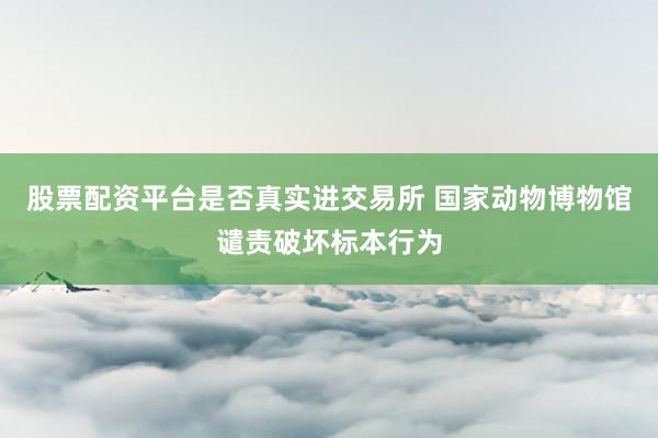 股票配资平台是否真实进交易所 国家动物博物馆谴责破坏标本行为
