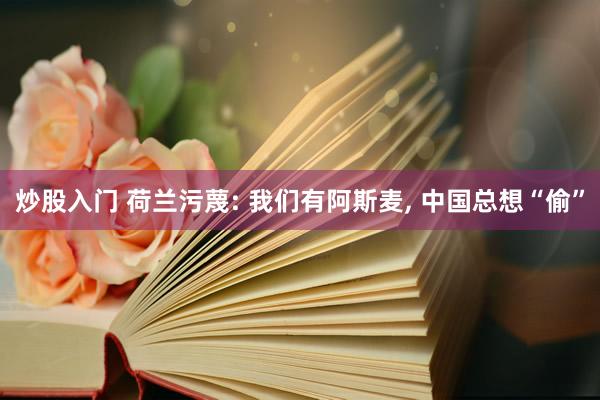 炒股入门 荷兰污蔑: 我们有阿斯麦, 中国总想“偷”