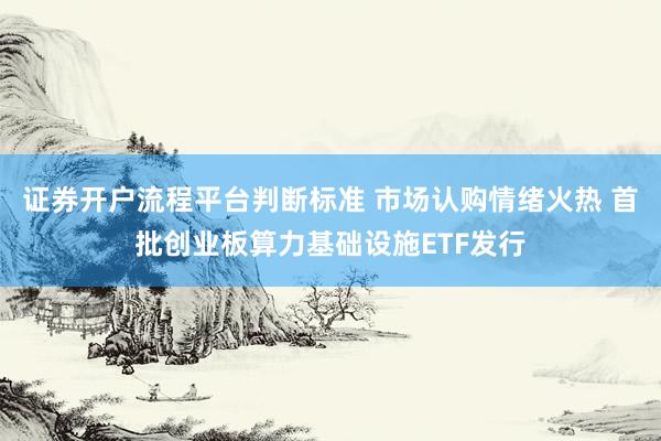 证券开户流程平台判断标准 市场认购情绪火热 首批创业板算力基础设施ETF发行