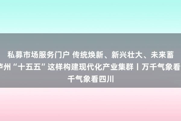 私募市场服务门户 传统焕新、新兴壮大、未来蓄势 泸州“十五五”这样构建现代化产业集群丨万千气象看四川