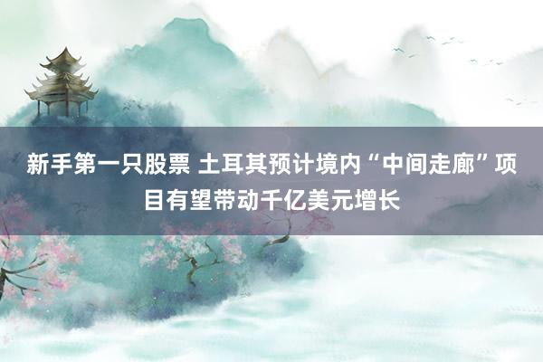 新手第一只股票 土耳其预计境内“中间走廊”项目有望带动千亿美元增长