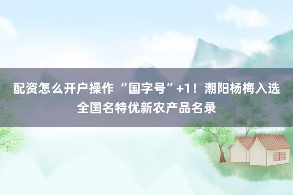配资怎么开户操作 “国字号”+1！潮阳杨梅入选全国名特优新农产品名录